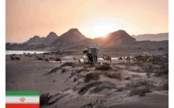 Gordigear Dachzelt Plus Für 4 Personen Mit Staufläche 180 X 320 Cm Grün -Camping im Freien 585635 3986339