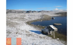 Gordigear Dachzelt Plus Für 4 Personen Mit Staufläche 180 X 320 Cm Grün -Camping im Freien 585655 3986347